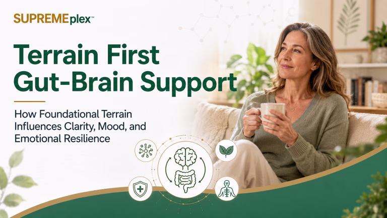 terrain first gut brain support