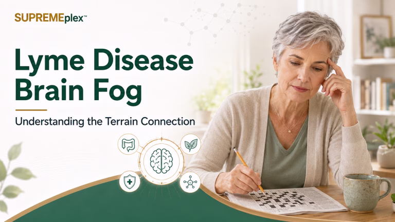 lyme disease and brain fog