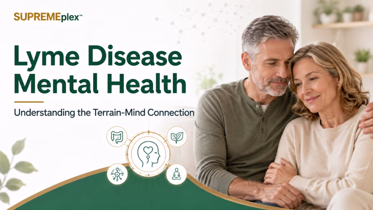 lyme disease and mental health