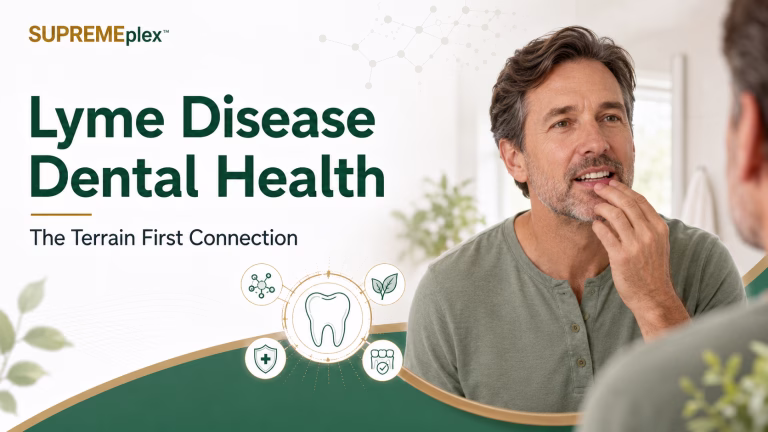 lyme disease and dental health