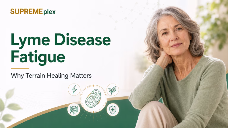 Lyme disease and fatigue