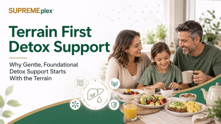 terrain first detox support